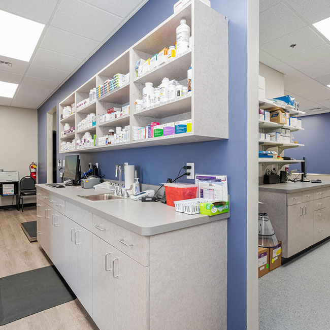 Veterinarian in Canton Vet Near You Sixes Animal Hospital