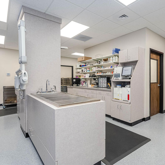 Sick & Emergency Care Vet in Canton Sixes Animal Hospital