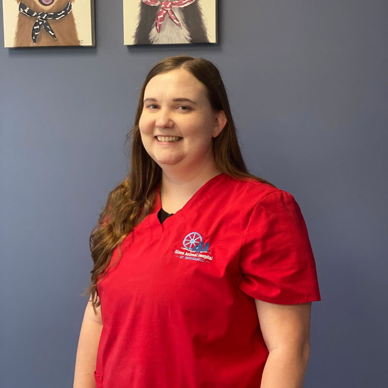 Montana Vet in Canton Sixes Animal Hospital